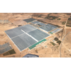Okken panels for tomato farm in the desert